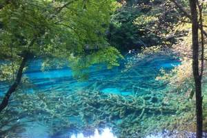 昆山市城市生态森林公园景点分布图