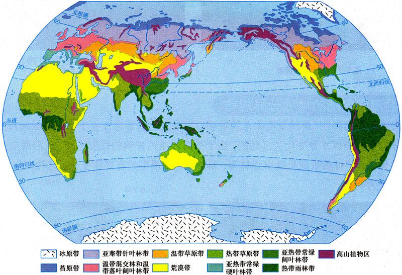 球体圆形世界地图 